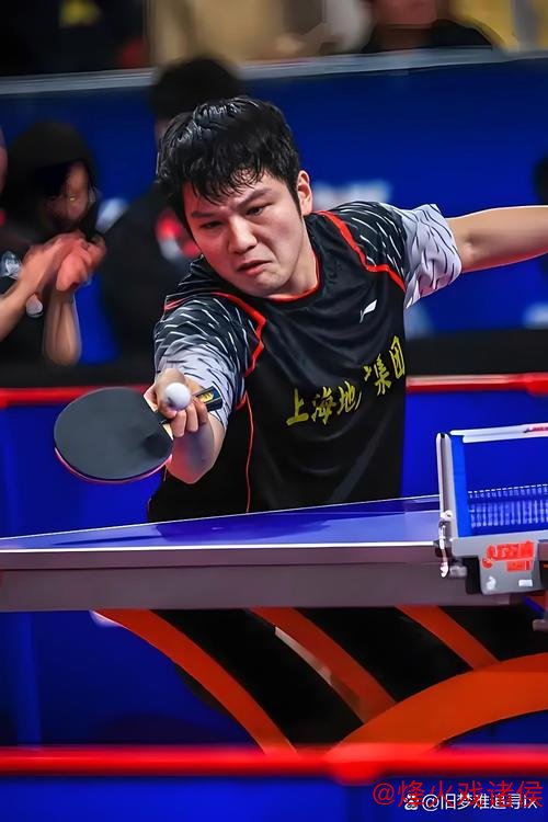 樊振东与德约科维奇：呼吁提升体育职业化水平