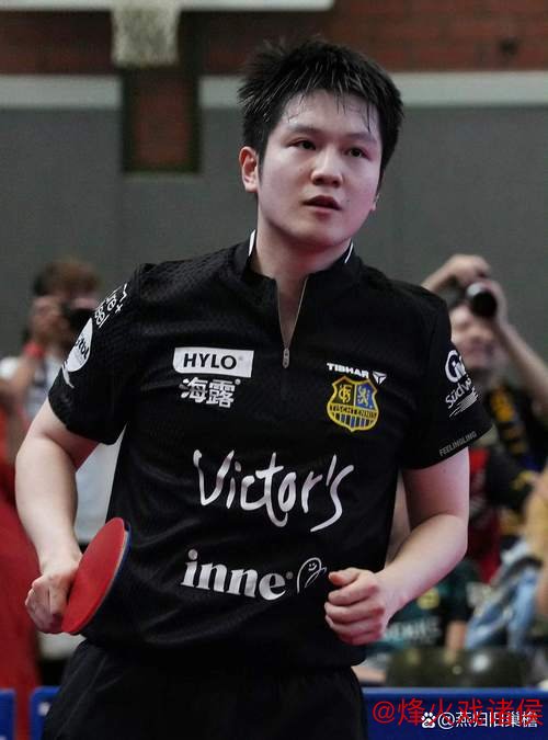 樊振东打破两大规则！德甲为他调整政策，多特蒙德放下德比恩怨