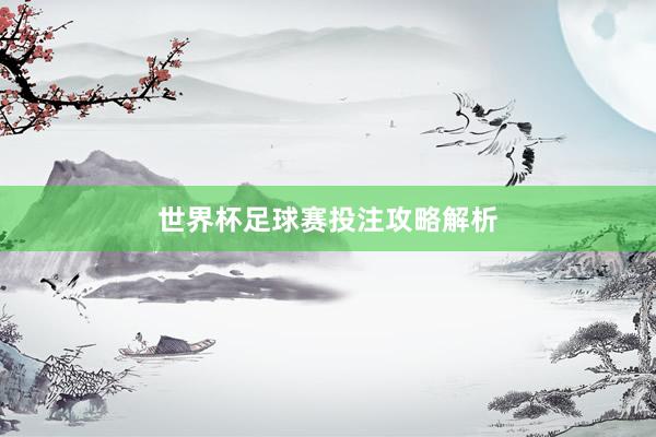 世界杯足球赛投注攻略解析