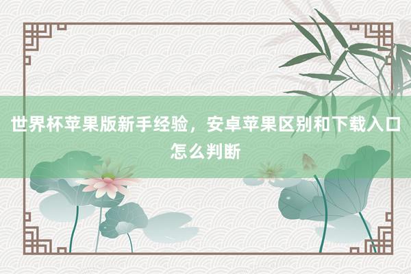 世界杯苹果版新手经验，安卓苹果区别和下载入口怎么判断